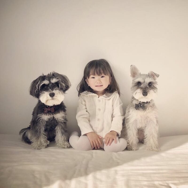 ✳︎toto✳︎さま】vintage ୨୧ 小さな ワンちゃん set ✳︎toto